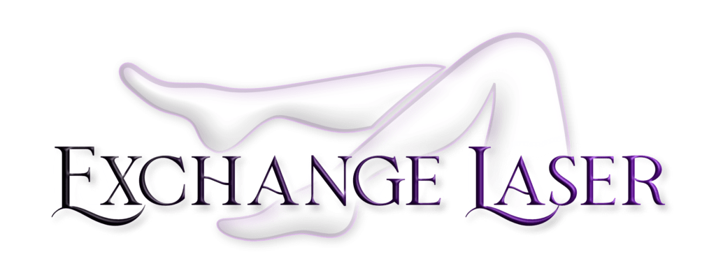 Exchange Laser Logo